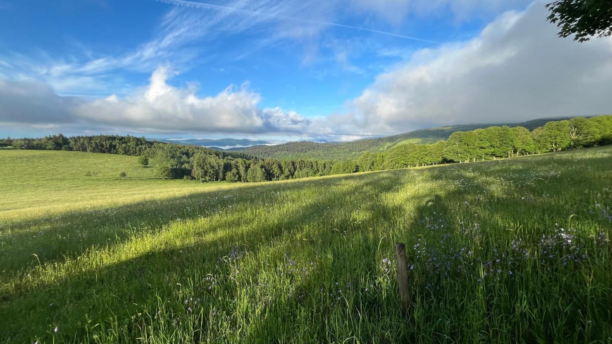 Hébergement de vacances Alsovka Medenec